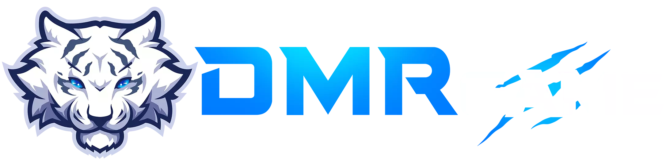 DMRGAME